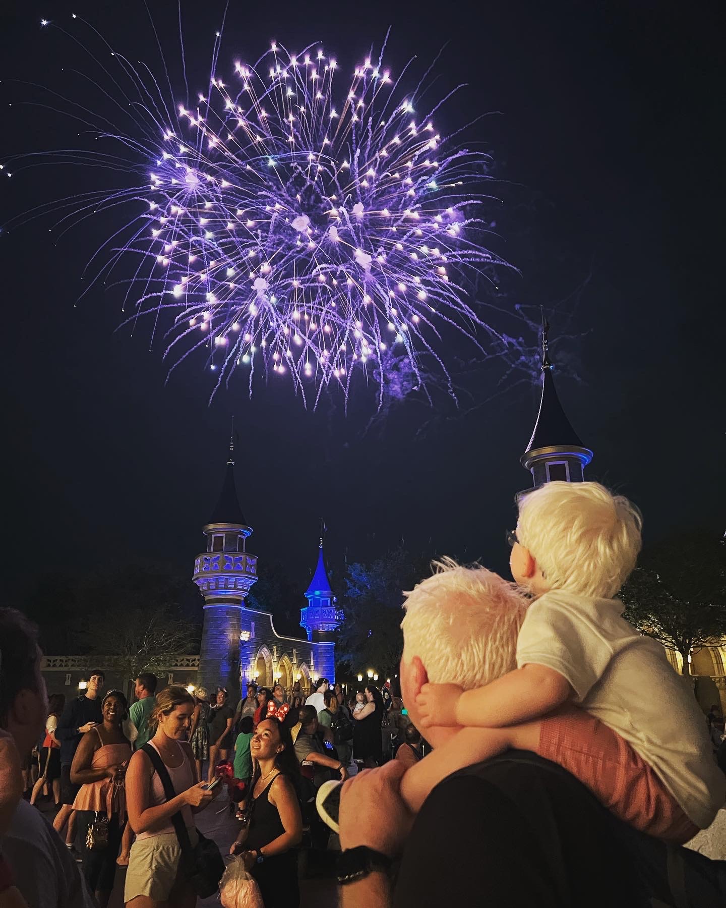 A picture of Andrew and AJ from the back watching fireworks at Walt Disney World